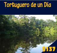 Tortuguero de un D&iacute;a